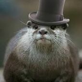 Sir Otter